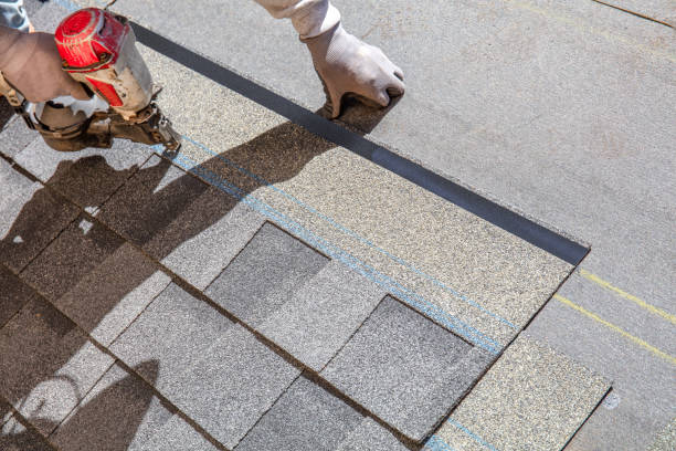 Best Residential Roofing Contractor  in Brainerd, MN